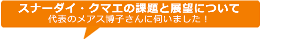 スナーダイクマエの課題と展望について