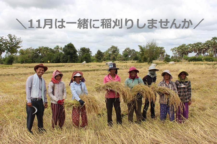 アンコールワットと村のぽかぽか家族を訪ねて3泊5日/ANA利用