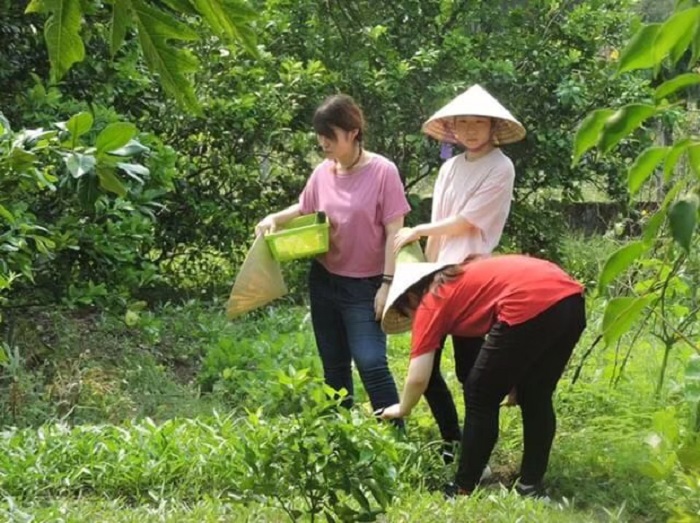 ベトナム 【BAJxPITコラボ企画】ベトナム中部・古都フエの農家を訪ねて