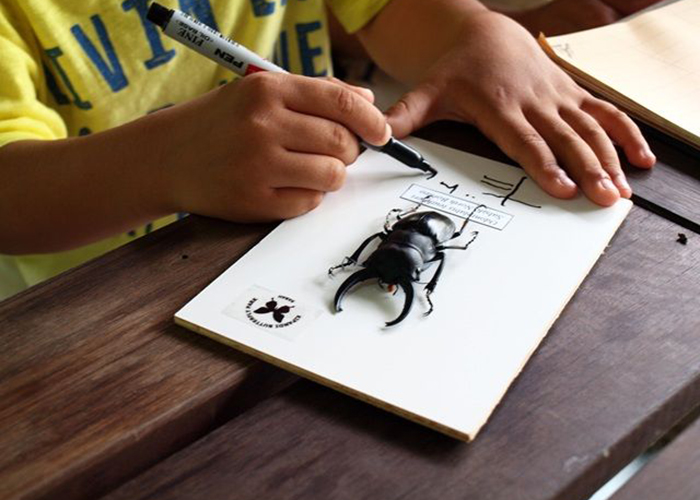 マレーシア親子参加！野生動物・昆虫観察！教科書では学べない、生きた生態系に触れる5日間