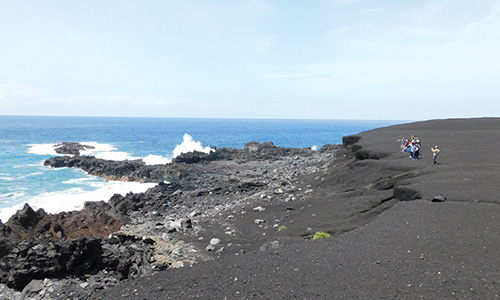 噴火により失われた貴重な森林を、植栽や整備活動で回復させる 地球緑化クラブ 三宅島緑化ツアー 2泊3日 イメージ