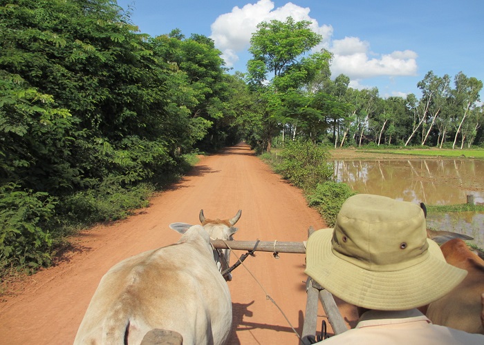 カンボジア 農村に暮らす人々に出会う旅