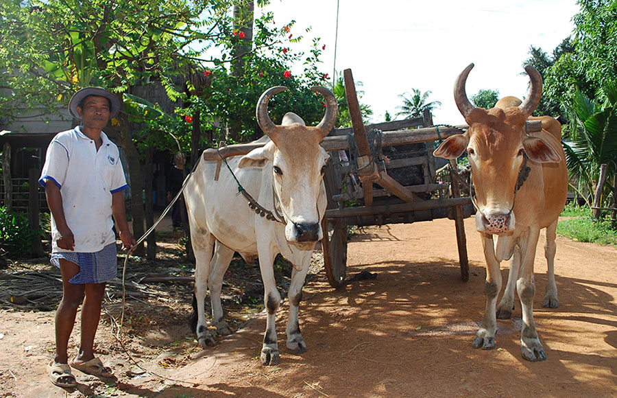 カンボジアの田舎の村を訪ねるツアー アンコールワットと村のぽかぽか家族を訪ねて３泊５日 イメージ