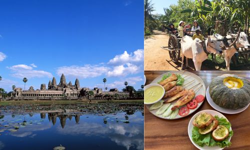 オーダーメイド旅行