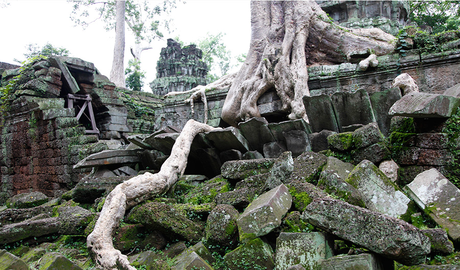 カンボジアのアンコール遺跡（タプローム）