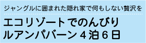 ラオスのエコリゾートでのんびりツア－