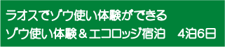 ラオスでゾウ使い体験