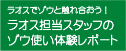 ラオスで象と触れ合おう！