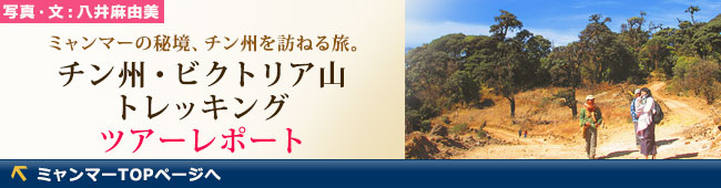 ミャンマー・チン州ビクトリア山トレッキングツアー