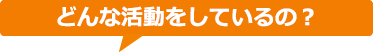 どんな活動をしているの？