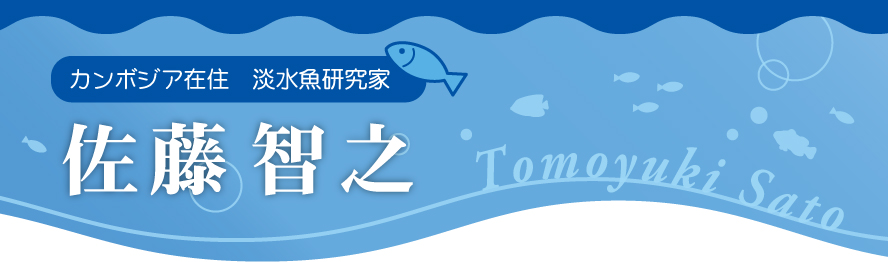 淡水魚研究家 佐藤智之さん プロフィール ピースインツアー ベトナム カンボジア ラオス ミャンマーへの海外旅行 スタディツアー