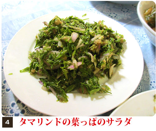 茎からとったタマリンドの葉っぱに、にんにく、塩、油、インゲン豆を混ぜて和える。