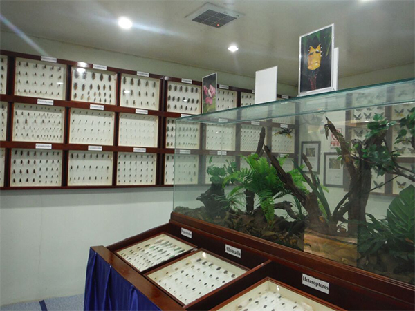 昆虫好きの聖地・キパンディ・バタフライパークへ!