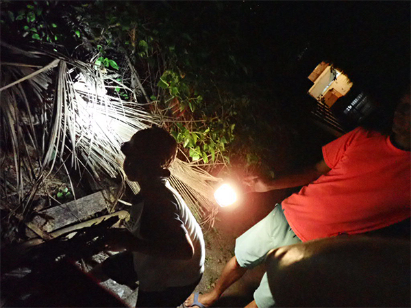 ●夜になると出てくる日本にいない爬虫類を探せ！？