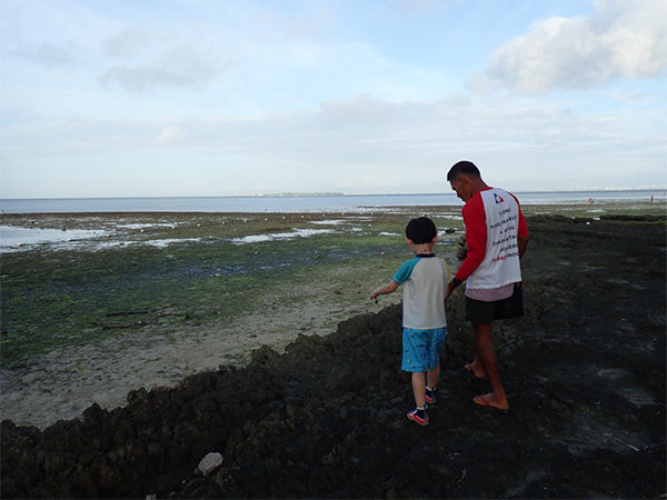 海の生き物を発見！磯歩き