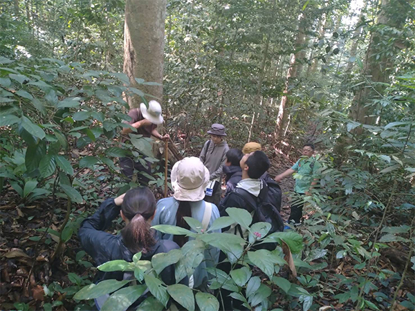 マレーシアの自然に触れる!