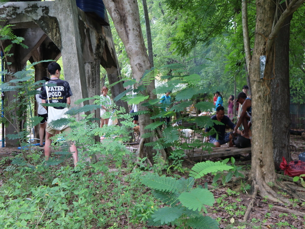 ●自然とのふれあい多数！