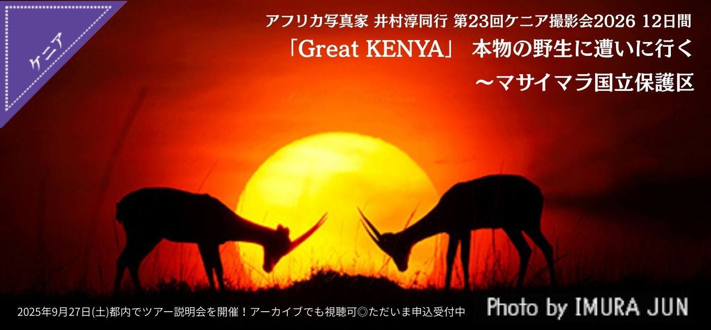 アフリカ写真家 井村淳同行　第23回ケニア撮影会2026 12日間 ～「Great KENYA」　本物の野生に遭いに行く～マサイマラ国立保護区