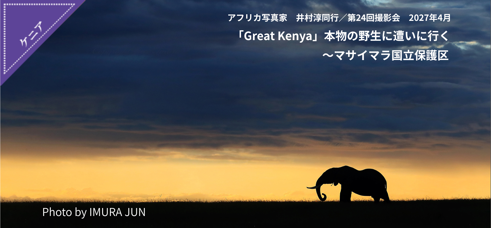 アフリカ写真家 井村淳同行　第24回ケニア撮影会2027年