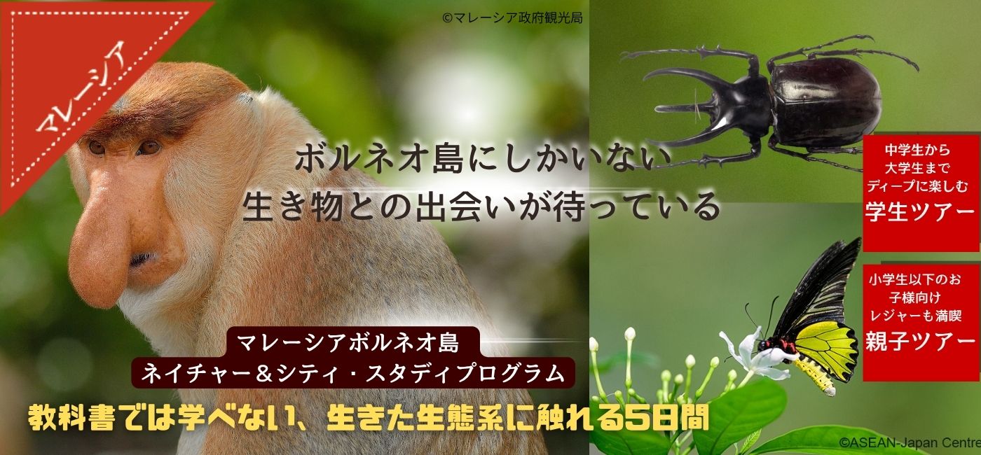 マレーシアボルネオ島　ネイチャー＆シティ・スタディプログラム＜中高校生参加OK！＞