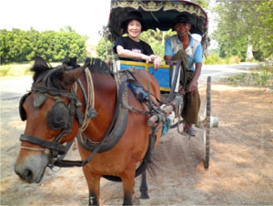 インワの観光馬車。