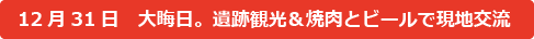 12月31日　大晦日。アンコール遺跡観光＆焼肉とビールで現地交流